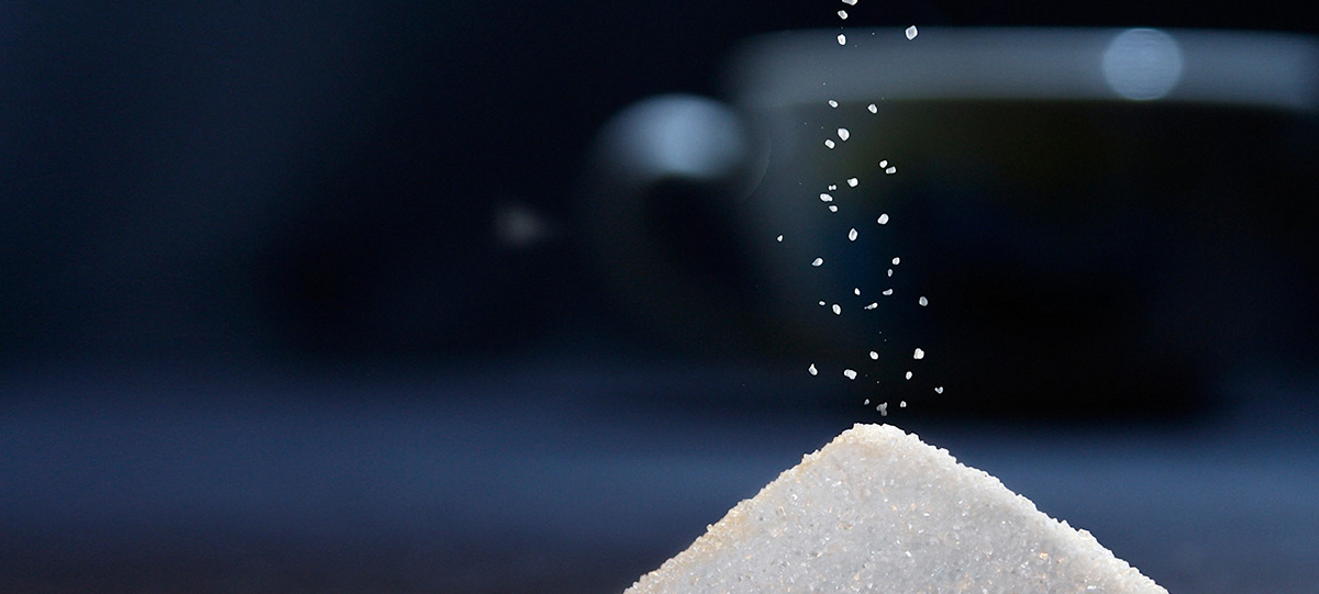 瑞芬生物“赤蘚Plus”榮獲iSEE全球食品創(chuàng  )新技術(shù)獎Top50