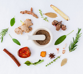 釋放植物力量，實(shí)現植物功能成分風(fēng)味優(yōu)化及多維度功能覆蓋